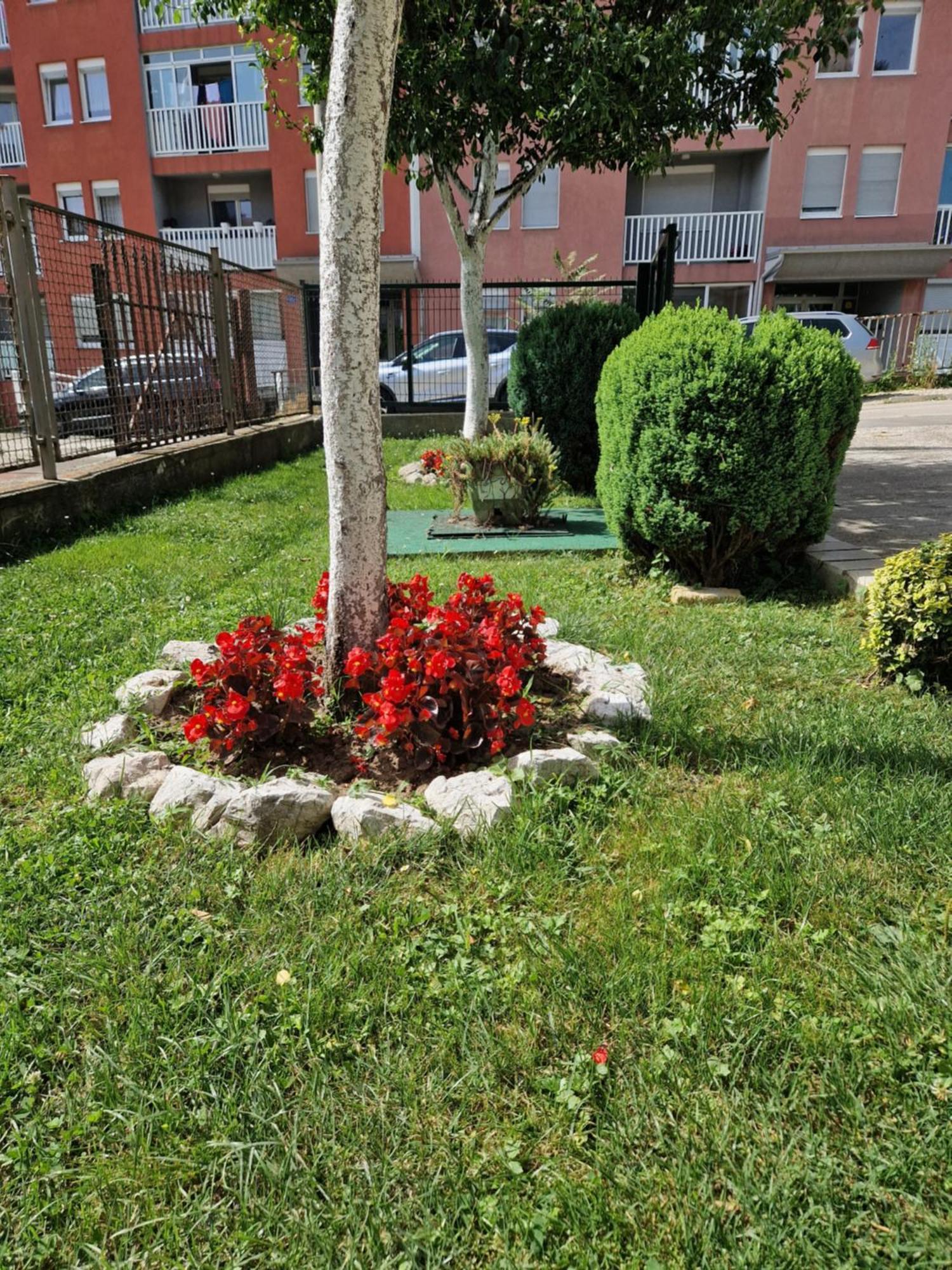 Guesthouse Irac Tuzla Extérieur photo